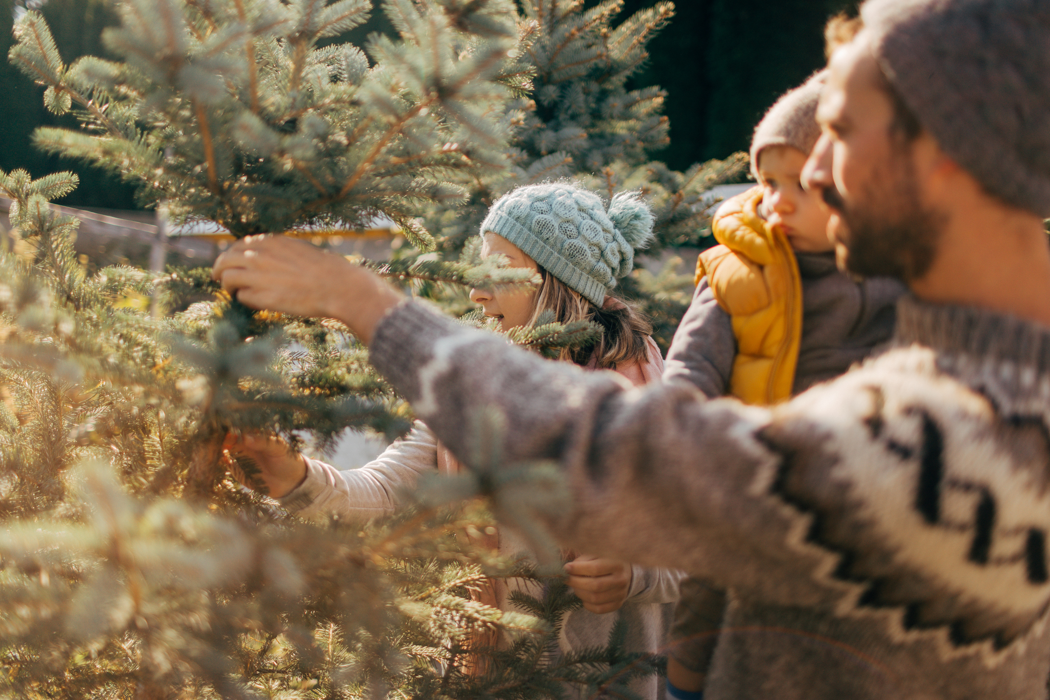 A family selects a Christmas tree outdoors, bundled in cozy sweaters and hats, enjoying a sunny winter day among evergreens.