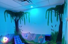 The Zen Cove Sensory Room